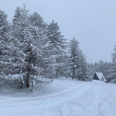 Chalet Bastilor La Joue du Loup Kültér fotó