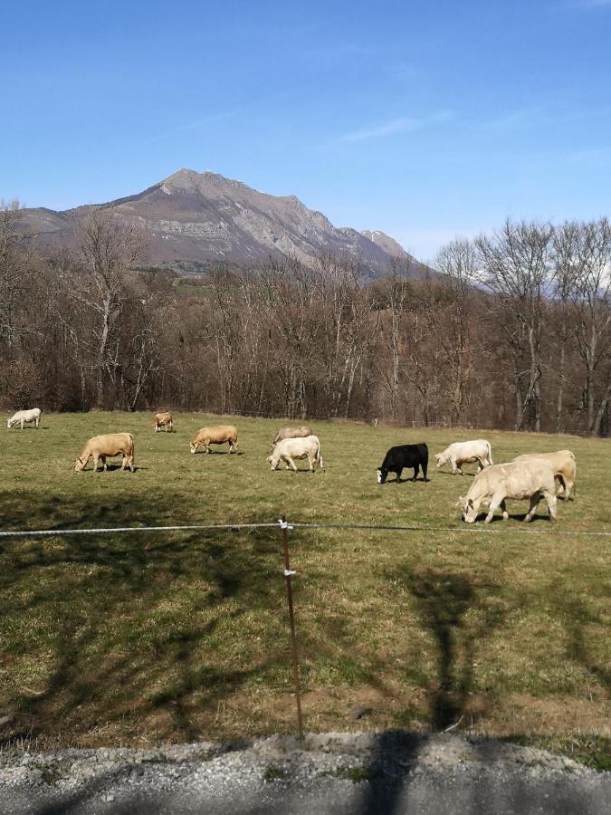 Chalet Bastilor La Joue du Loup Kültér fotó