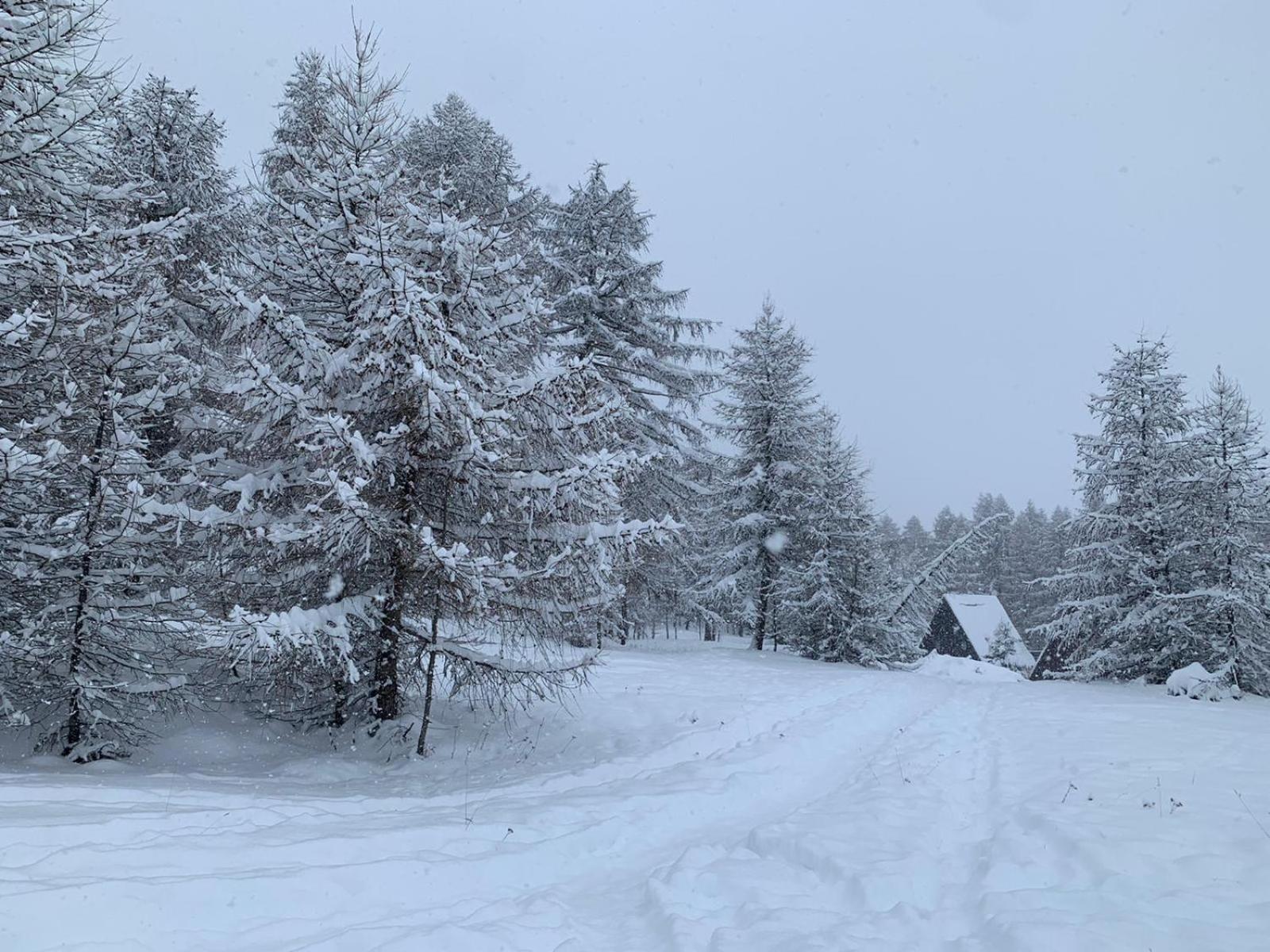 Chalet Bastilor La Joue du Loup Kültér fotó